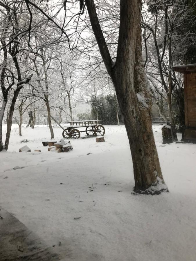 Бунгало Kheivani Exteriör bild