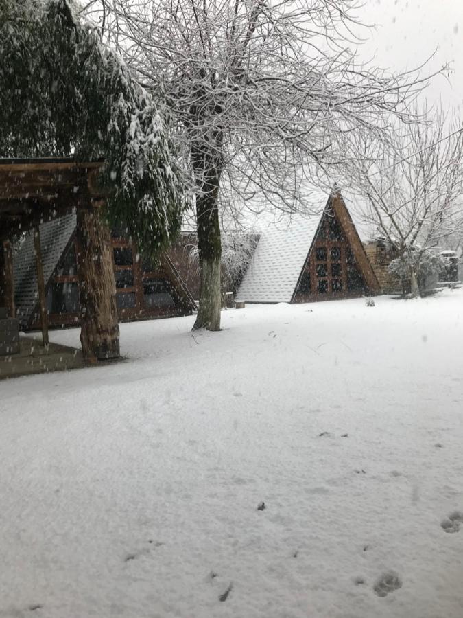 Бунгало Kheivani Exteriör bild